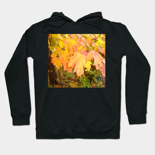 leaves in autumn Hoodie by Jujucreation